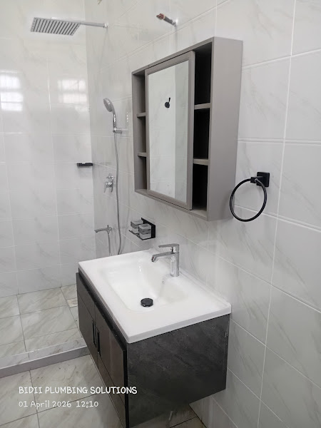 Bidii plumbing solutions