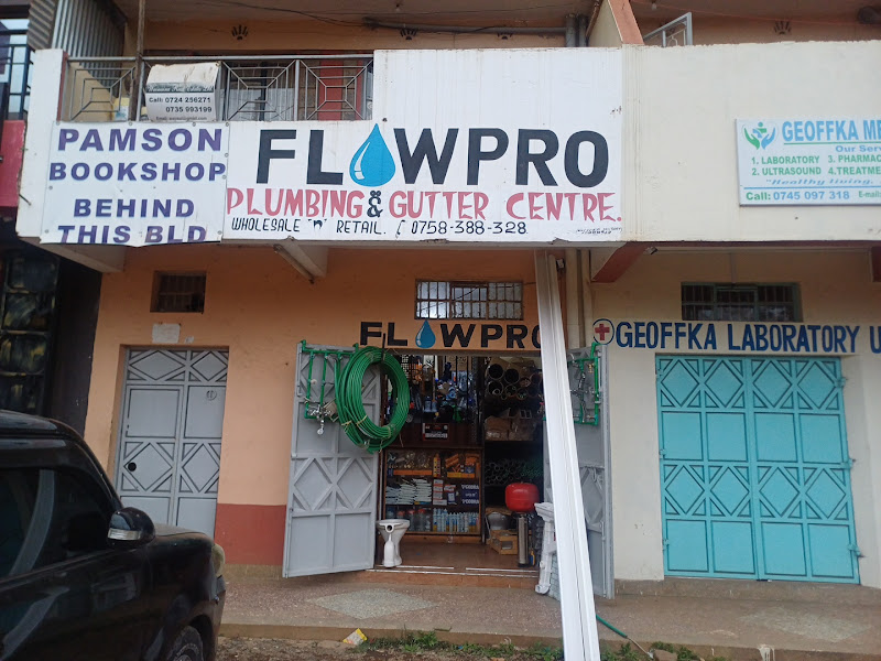FLOW-PRO PLUMBING SOLUTIONS