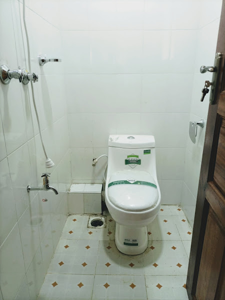 Freddy Plumbing Services