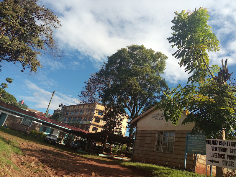 Muranga Water & Sanitation Co Ltd