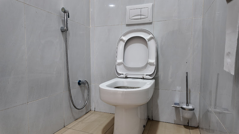 Professional Plumber